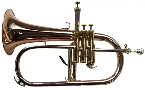 Flügelhorn SYMPHONIE WESTERWALD ® , Konzert in B