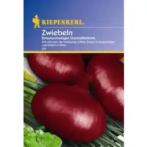 Zwiebelsamen Kiepenkerl Zwiebeln Braunschweiger