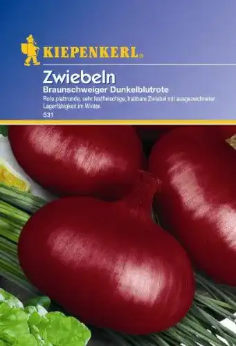 Zwiebelsamen Kiepenkerl Zwiebeln Braunschweiger
