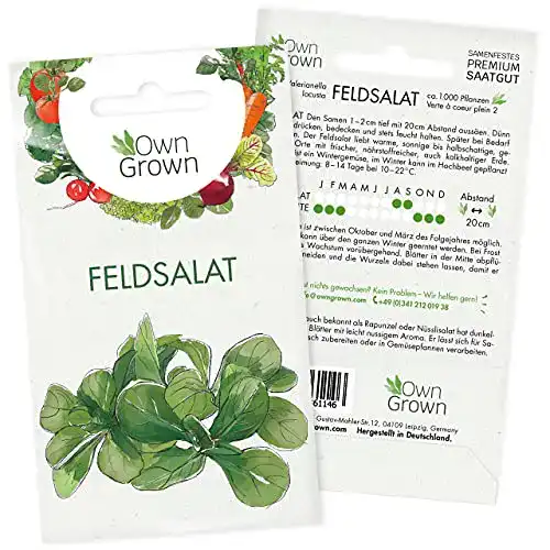 Feldsalat-Samen OwnGrown Feldsalat Samen Winterhart