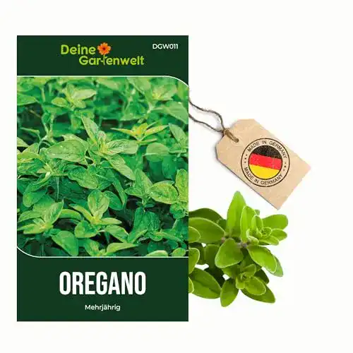 Oregano-Samen Deine Gartenwelt Oregano Mehrjährig Samen