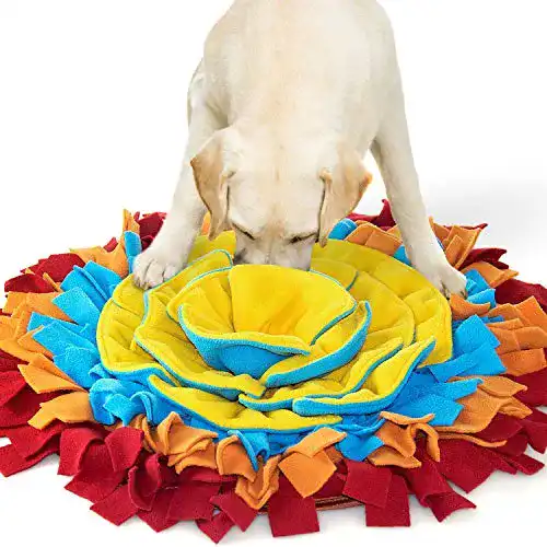 Die beste Hunde-Intelligenzspielzeug AWOOF Schnüffelteppich Hund groß 2026 Test Bestseller Hunde-Intelligenzspielzeug AWOOF Schnüffelteppich Hund groß