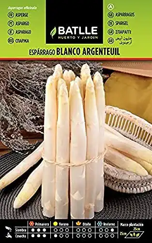 Spargelsamen Semillas Batlle Batlle Gemüsesamen Weisser Spargel