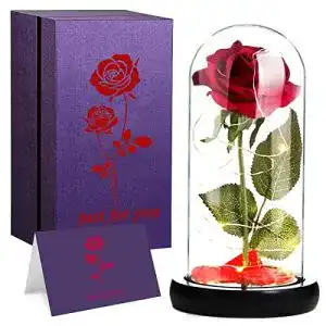Ewige Rose LOZACHE Die Schöne und das Biest Rose Geschenk