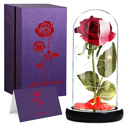 Ewige Rose LOZACHE Die Schöne und das Biest Rose Geschenk