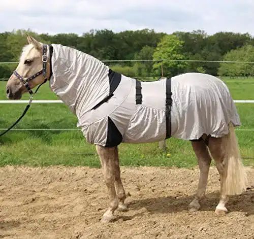 Ekzemerdecke (Pferd) Hafer24 super leichte Ekzemerdecke