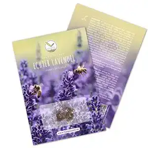 Lavendel-Samen HappySeed 300x Lavendel Samen