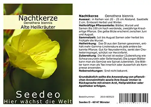 Nachtkerzen-Samen Seedeo Nachtkerze (Oenothera biennis)