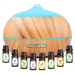 Diffuser Moisturnt Ätherische Öle Aroma Humidifier: 500ml Öl Set