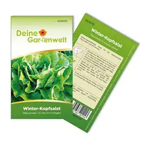 Wintergemüse-Samen Deine Gartenwelt Winter-Kopfsalat
