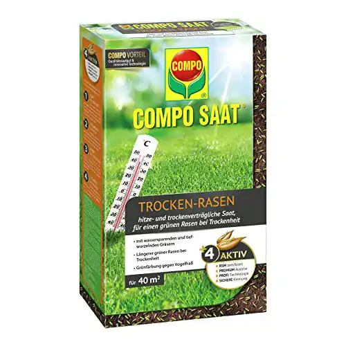 Trockenrasen Compo SAAT Trocken-Rasen, 1 kg, 40 m²