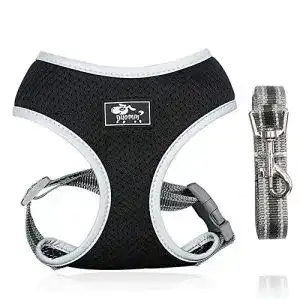 Y-Geschirr Hund Dociote Hundegeschirr Set mit Leine, Schwarz M