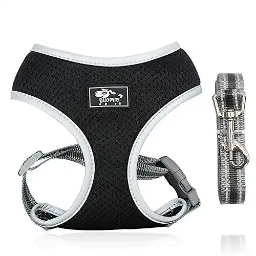 Y-Geschirr Hund Dociote Hundegeschirr Set mit Leine, Schwarz M