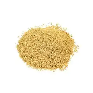 Lecithin-Granulat Buxtrade 2 x 500 g Soja Lecithin Granulat, E322