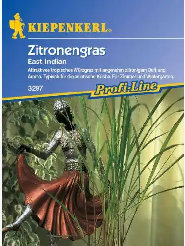Zitronengras-Samen Kiepenkerl Zitronengras East Indian