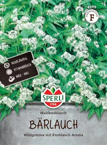 Bärlauch-Samen Sperli Gemüsesamen Bärlauch Waldknoblauch