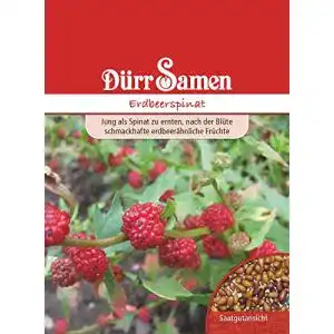 Spinat-Samen Dürr-Samen Spinat Erdbeerspinat Samen