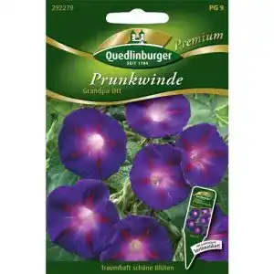 Prunkwinde-Samen Quedlinburger Prunkwinde, Grandpa Ott