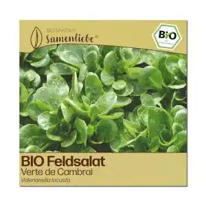 Feldsalat-Samen Samenliebe BIO alte Sorte Verte de Cambrai