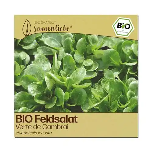 Feldsalat-Samen Samenliebe BIO alte Sorte Verte de Cambrai