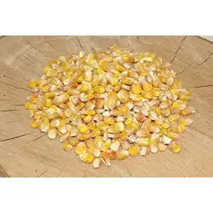 Futtermais 25kg Mais gelb