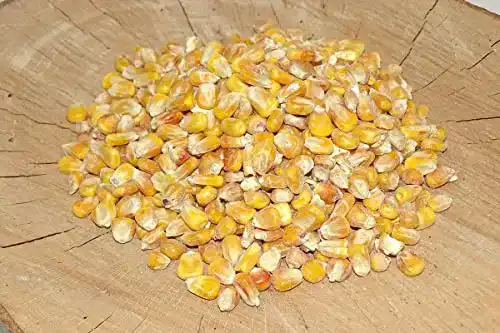 Futtermais 25kg Mais gelb