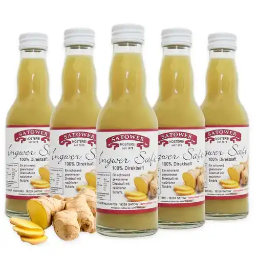Ingwersaft Satower Mosterei Original Satower 6x 0,2l