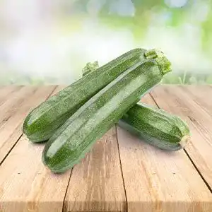 Zucchini-Samen Prademir Zucchini 25 x Samen