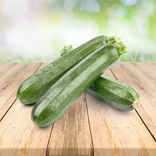 Zucchini-Samen Prademir Zucchini 25 x Samen