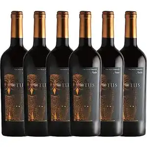 Italienischer Rotwein Mondo del Vino VINELLO 6er Rotweinpaket