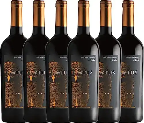 Italienischer Rotwein Mondo del Vino VINELLO 6er Rotweinpaket