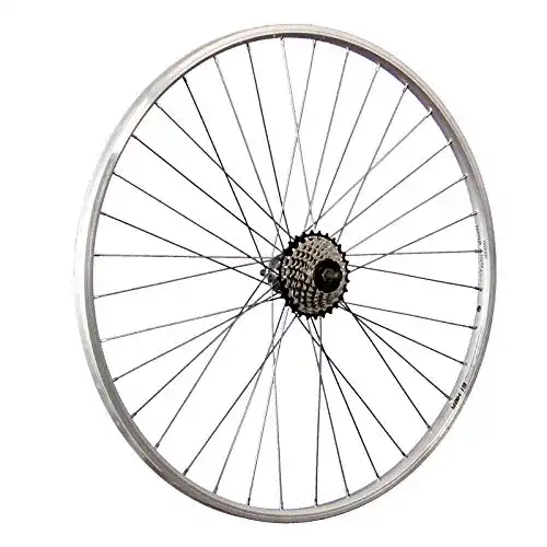 Taylor Wheels Taylor-Wheels 28 Zoll Hinterrad YAK19 / 7 Fach