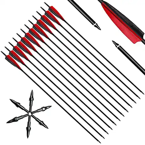 Carbonpfeile Narchery Pfeile, 31 Zoll Bogenpfeile 12er Set