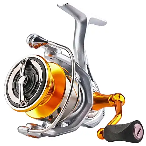 Die beste Karpfenrolle SeaKnight Rapid II Spinnrolle Salzwasser Angelrolle Karpfen Anti Korrosions Angelrollen 2026 Test Bestseller Karpfenrolle SeaKnight Rapid II Spinnrolle Salzwasser Angelrolle Karpfen Anti Korrosions Angelrollen