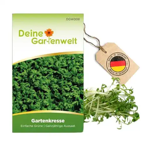 Kressesamen Deine Gartenwelt Lepidium sativum