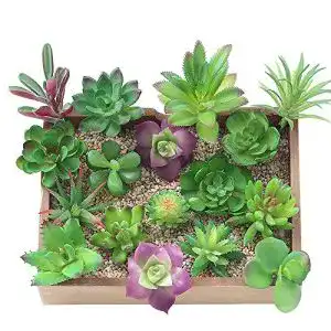 Künstliche Sukkulenten KUUQA 16 Pcs Sukkulenten Künstlich