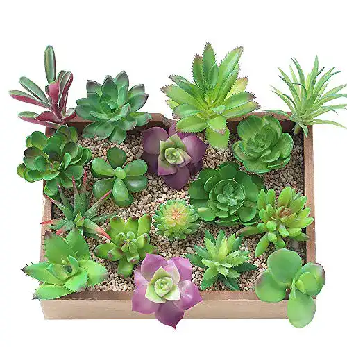 Künstliche Sukkulenten KUUQA 16 Pcs Sukkulenten Künstlich