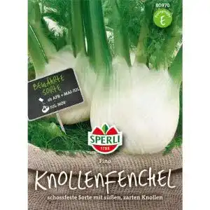 Fenchel-Samen Sperli Knollenfenchel ´Fino´