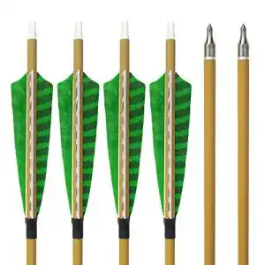 Carbonpfeile SHARROW 12pcs 30 Zoll mit Naturfedern
