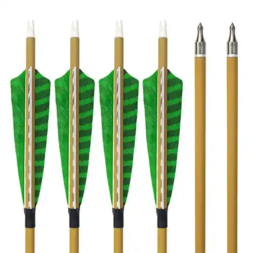 Carbonpfeile SHARROW 12pcs 30 Zoll mit Naturfedern