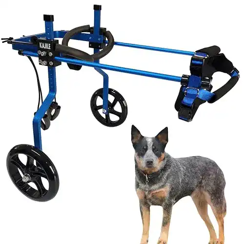Hunderollstuhl KAJILE Einstellbare 2 Räder Hunde-Rollstuhl, M-3