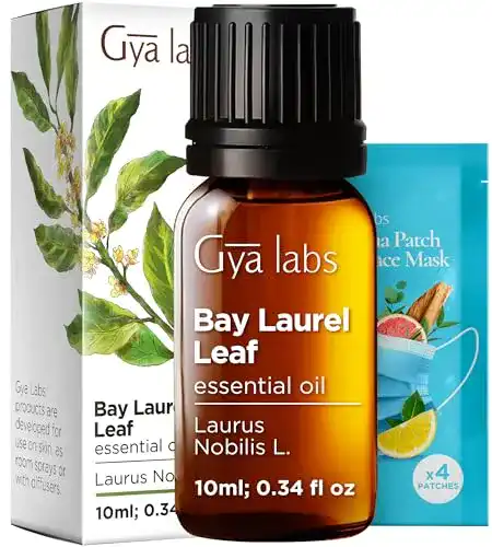 Lorbeeröl Gya Labs Ätherisches Lorbeerblattöl 10ml