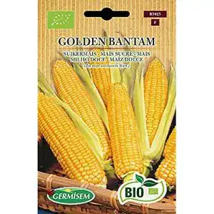 Maissamen Germisem Mais GOLDEN BANTAM, ECBIO5025