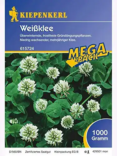 Weißklee-Samen Kiepenkerl – sonstiges Saatgut Weissklee, 1kg