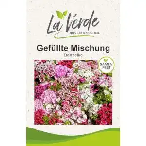 Bartnelken-Samen La Verde MEIN GARTEN UND ICH. gefüllt