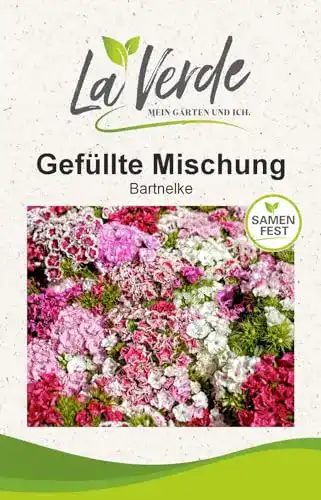 Bartnelken-Samen La Verde MEIN GARTEN UND ICH. gefüllt