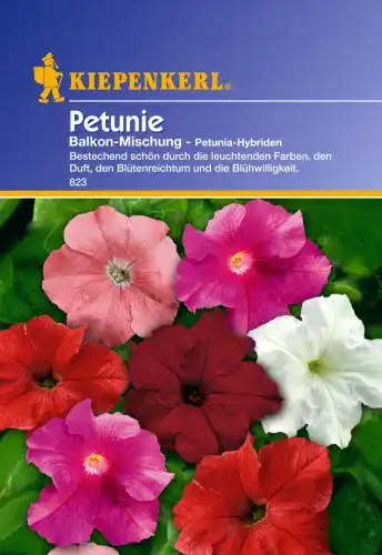Petunien-Samen Sperli Blumensamen Petunien Balkon Mischung