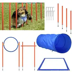 Agilitygeräte AufuN Agility Ausrüstungs Set für Hunde, Training