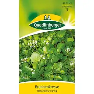 Brunnenkresse-Samen Quedlinburger Brunnenkresse