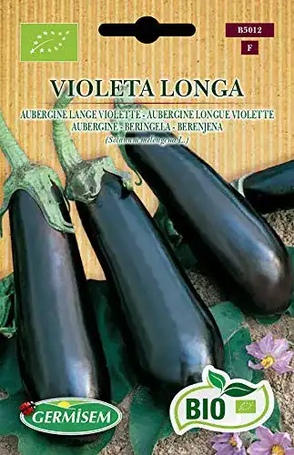 Auberginen-Samen Germisem Aubergine VIOLETA LONGA